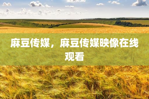 麻豆传媒，麻豆传媒映像在线观看