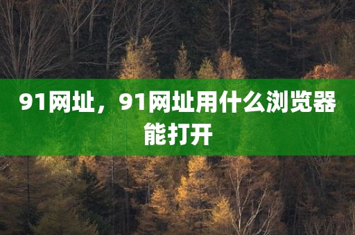 91网址，91网址用什么浏览器能打开