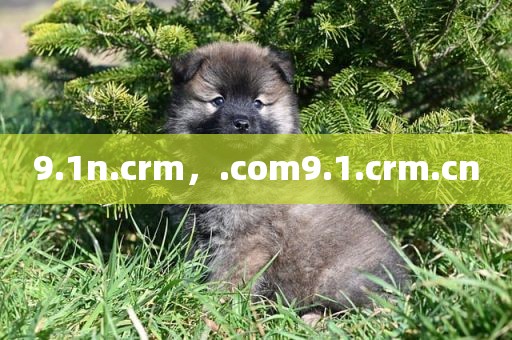9.1n.crm，.com9.1.crm.cn