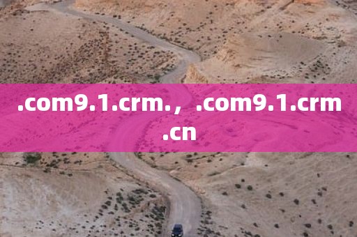 .com9.1.crm.，.com9.1.crm.cn
