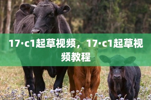 17·c1起草视频，17·c1起草视频教程