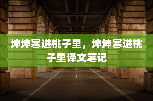 坤坤寒进桃子里，坤坤寒进桃子里译文笔记