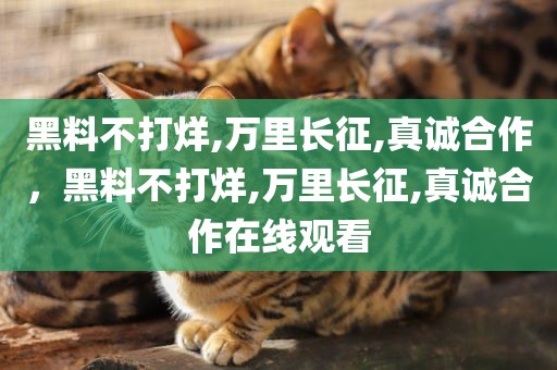 黑料不打烊,万里长征,真诚合作，黑料不打烊,万里长征,真诚合作在线观看