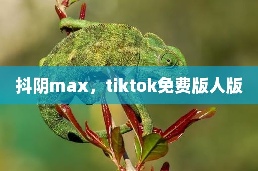 抖阴max，tiktok免费版人版