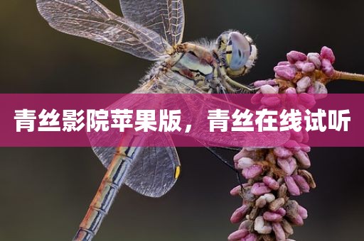 青丝影院苹果版，青丝在线试听