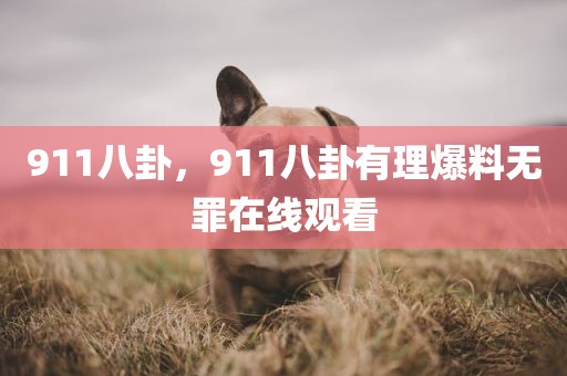 911八卦，911八卦有理爆料无罪在线观看