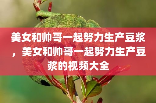 美女和帅哥一起努力生产豆浆，美女和帅哥一起努力生产豆浆的视频大全