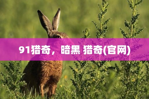 91猎奇，暗黑 猎奇(官网)