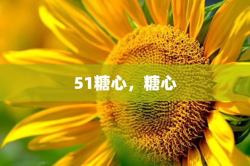 51糖心，糖心