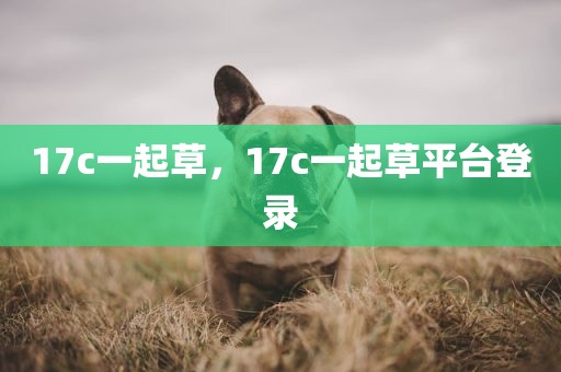 17c一起草，17c一起草平台登录