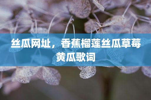 丝瓜网址，香蕉榴莲丝瓜草莓黄瓜歌词
