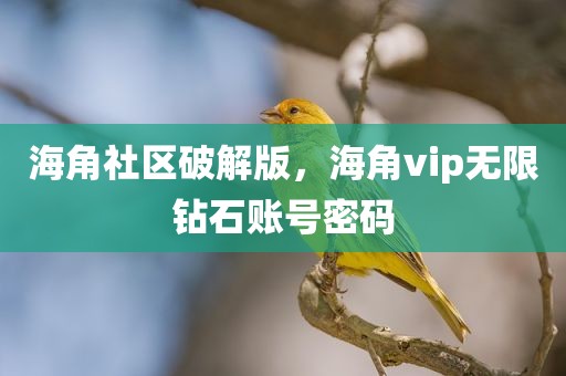 海角社区破解版，海角vip无限钻石账号密码
