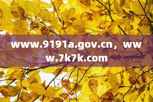 www.9191a.gov.cn，www.7k7k.com