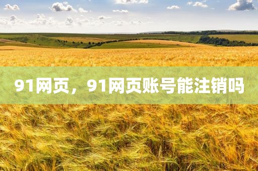 91网页，91网页账号能注销吗