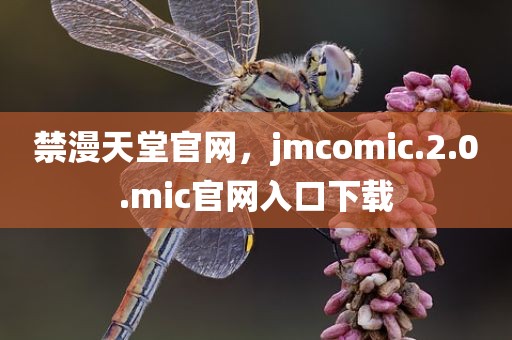 禁漫天堂官网，jmcomic.2.0.mic官网入口下载