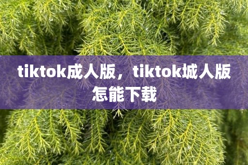 tiktok成人版，tiktok城人版怎能下载