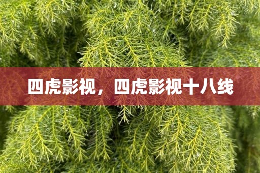 四虎影视，四虎影视十八线