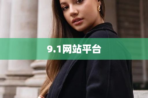 9.1网站平台