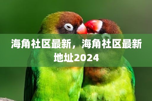 海角社区最新，海角社区最新地址2024