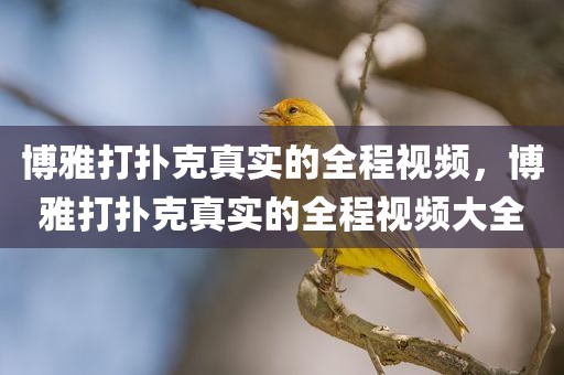 博雅打扑克真实的全程视频，博雅打扑克真实的全程视频大全