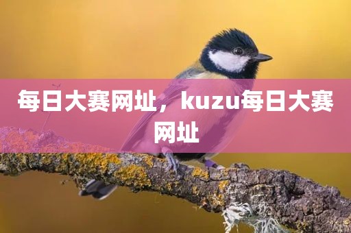 每日大赛网址，kuzu每日大赛网址