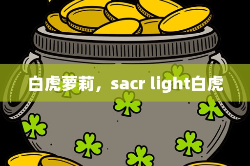 白虎萝莉，sacr light白虎