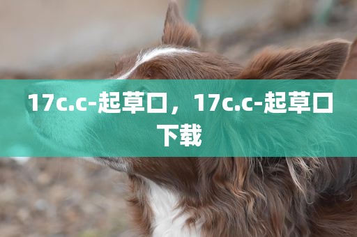 17c.c-起草口，17c.c-起草口下载