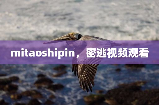 mitaoshipin，密逃视频观看