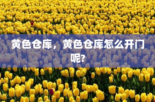 黄色仓库，黄色仓库怎么开门呢?