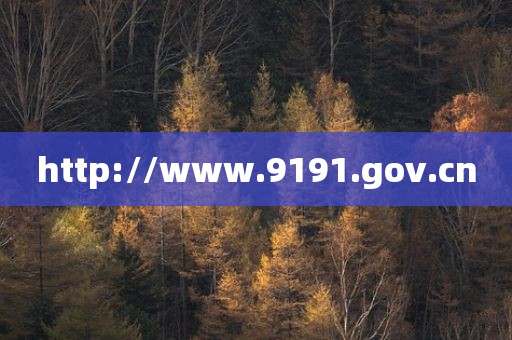 http://www.9191.gov.cn