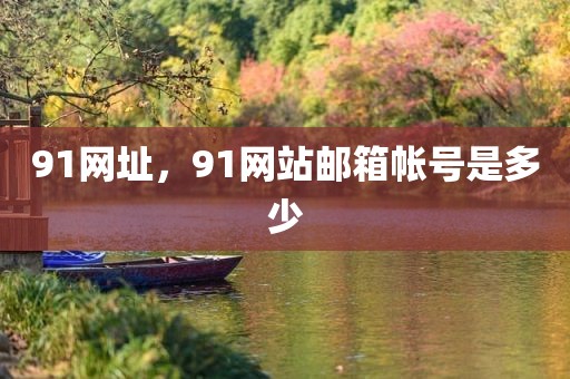 91网址，91网站邮箱帐号是多少