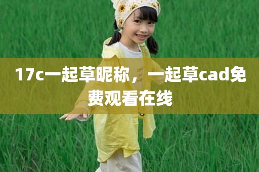 17c一起草昵称，一起草cad免费观看在线