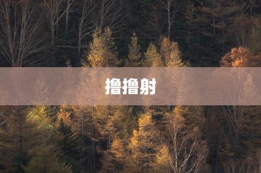 撸撸射