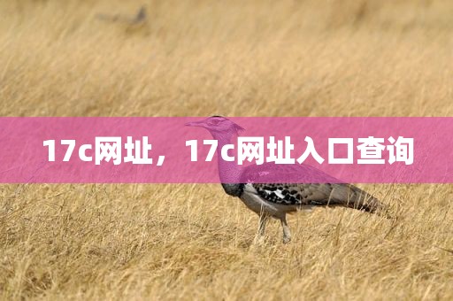 17c网址，17c网址入口查询