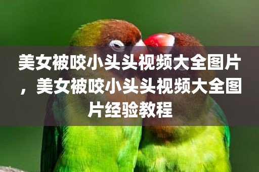 美女被咬小头头视频大全图片，美女被咬小头头视频大全图片经验教程