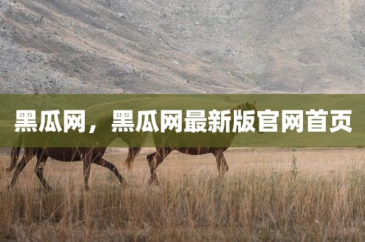 黑瓜网，黑瓜网最新版官网首页