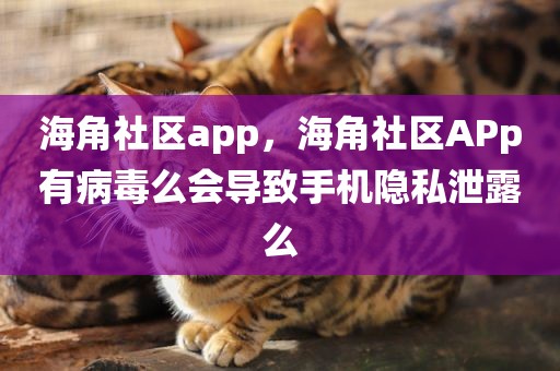 海角社区app，海角社区APp有病毒么会导致手机隐私泄露么