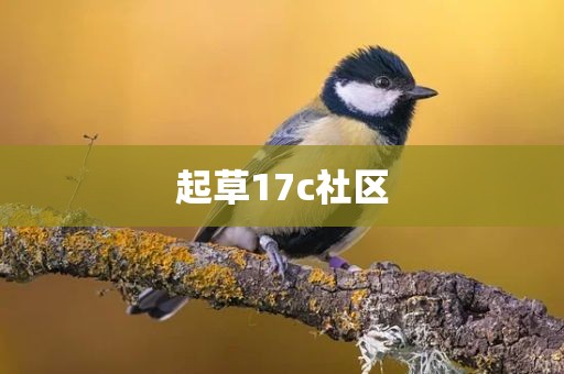 起草17c社区