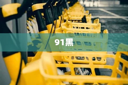 91黑