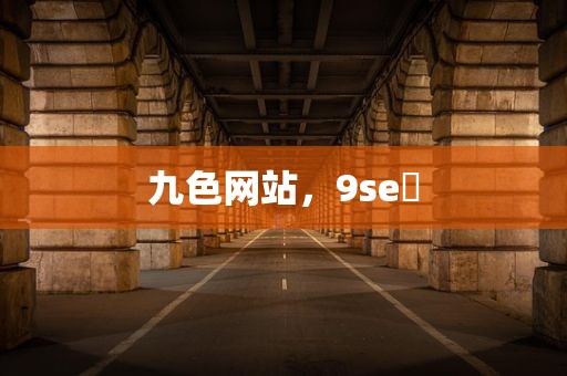 九色网站，9se 