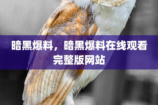 暗黑爆料，暗黑爆料在线观看完整版网站
