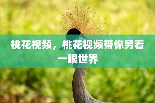 桃花视频，桃花视频带你另看一眼世界
