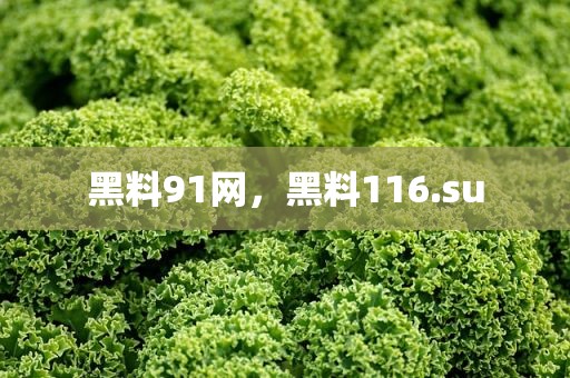 黑料91网，黑料116.su