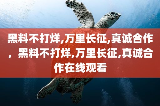 黑料不打烊,万里长征,真诚合作，黑料不打烊,万里长征,真诚合作在线观看