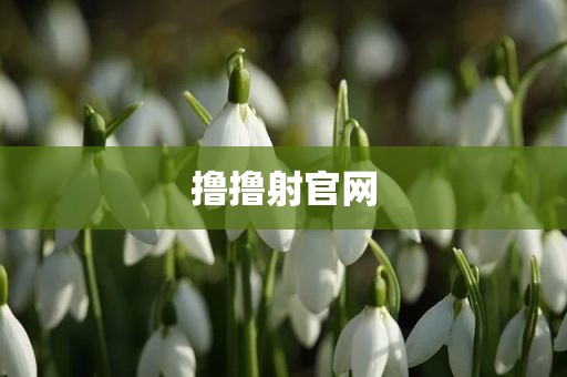 撸撸射官网