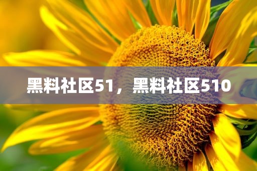 黑料社区51，黑料社区510