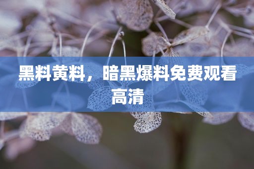 黑料黄料，暗黑爆料免费观看高清