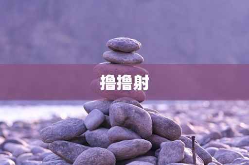 撸撸射