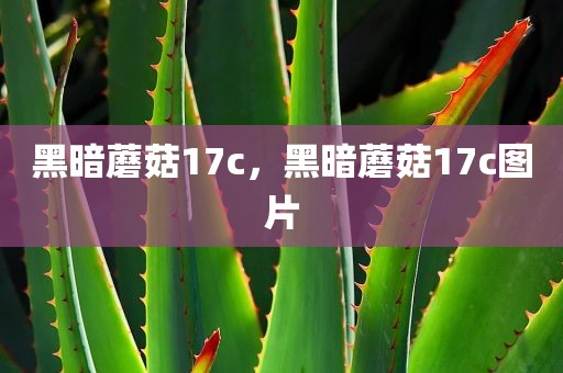 黑暗蘑菇17c，黑暗蘑菇17c图片