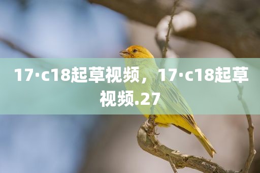 17·c18起草视频，17·c18起草视频.27